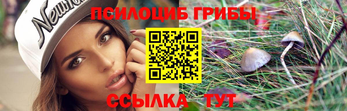 Галлюциногенные грибы GOLDEN TEACHER  Галлюциногенные грибы GOLDEN TEACHER  Белгород 