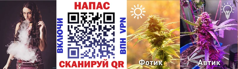 где купить наркотик  Белгород  Каннабис THC 21% 